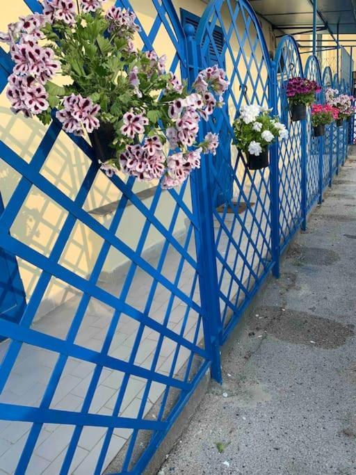 Casa Stella Del Vesuvio Holiday home